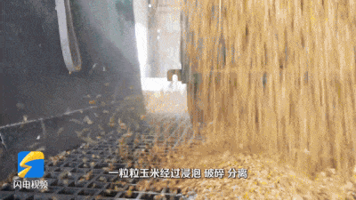 圖2 圖2